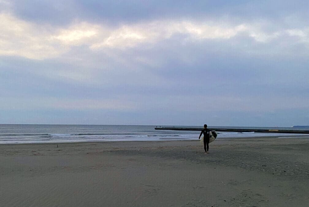 Makinohara’s Future: Building a Digital Ecosystem Rooted in Tradition