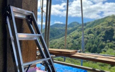 The Akiya Bargain Trap: Why Pro Help is Essential for Vacant Japanese Houses