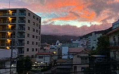 Akiya Market: Foreign Investment & Japanese Rural Revitalization