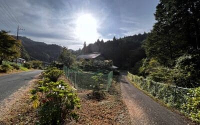 Regional Revitalization Demands Innovation, Not Tokyo Blame Games