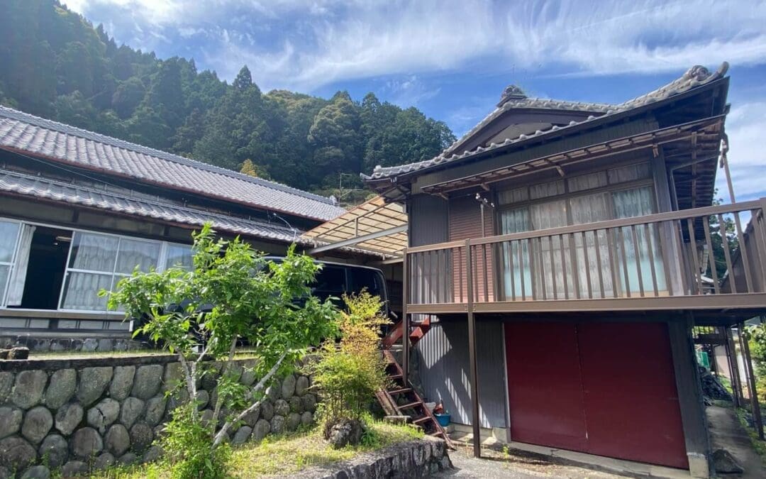 Japan Consumption Tax Debate & Rural Revitalization Strategies