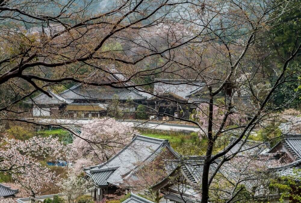 Japan Business Closures Reveal Deeper Crisis Than Demographics