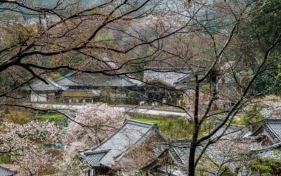 Beyond Demographics: The Cultural Crisis Driving Japan Business Closures