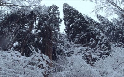 Why Rural Prototypes Matter More Than Proposals